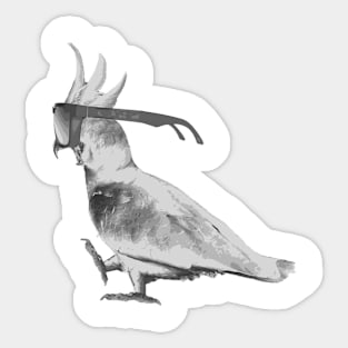 Cockatoo Bird Sticker